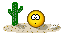 *DESERT*